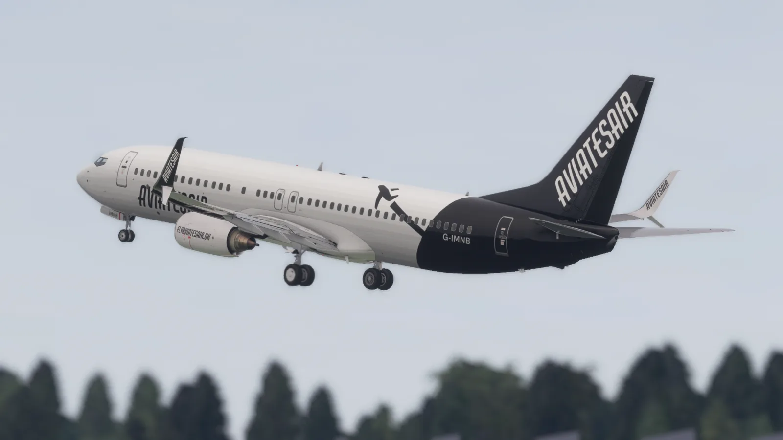 Boeing 737-800