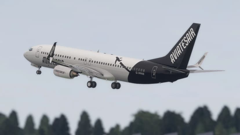 Boeing 737-800